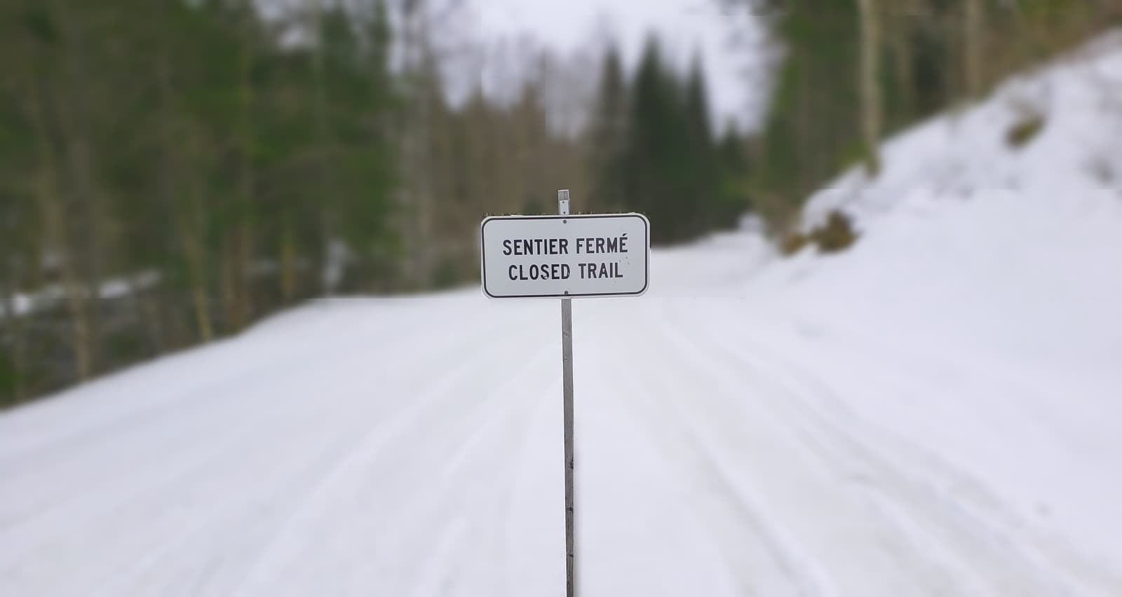 Gaspésie : sentier entre La Cache et Murdochville fermé pour la saison