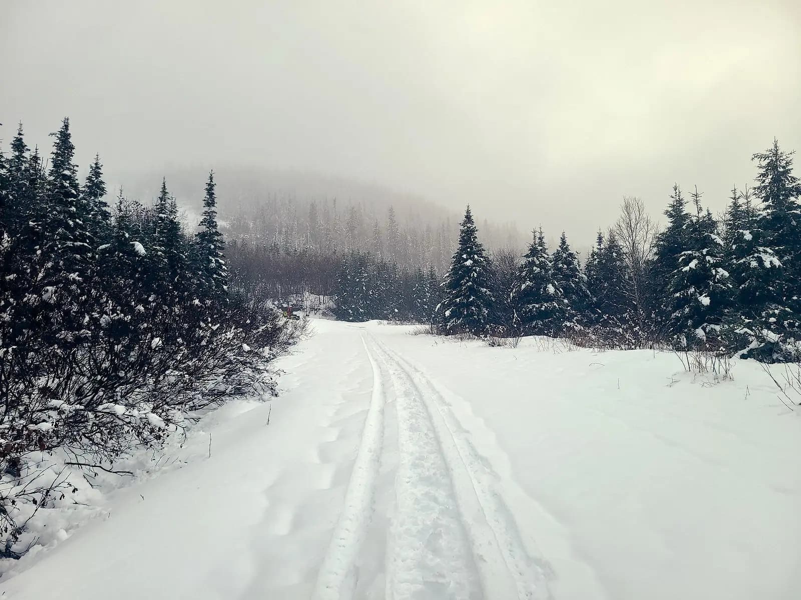 Aventure en motoneige : une journée de novembre à la montagne