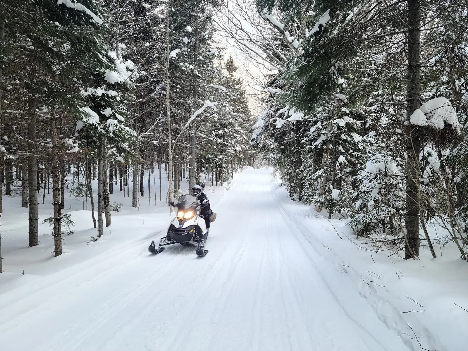 Noël blanc au Québec : Une saison de motoneige prometteuse avant le Jour de l’An